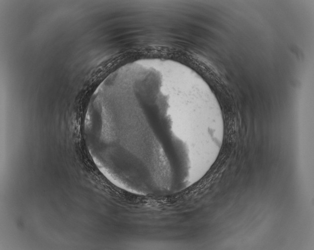 X0000111781013200908201105