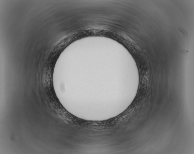 X0000111781014200908201105