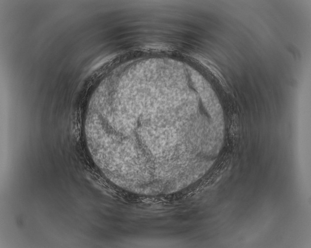 X0000111781015200908201105
