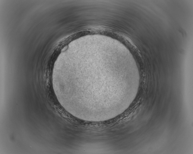 X0000111781016200908201105