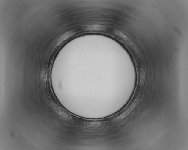 X0000111781017200908201105