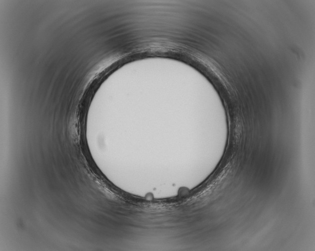 X0000111781018200908201105