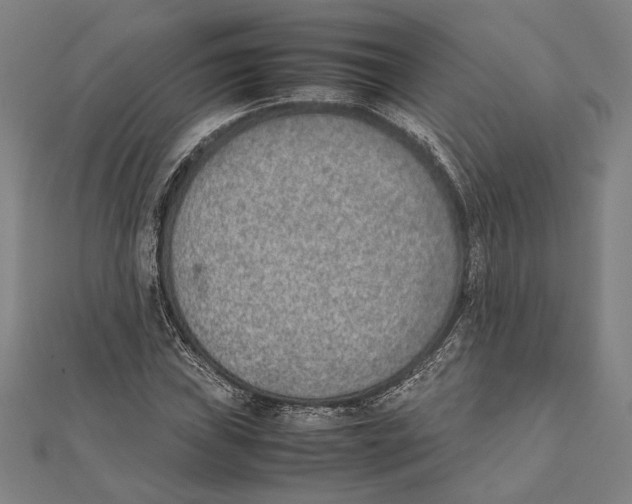 X0000111781019200908201105