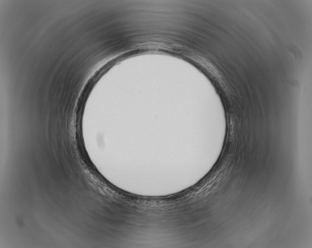 X0000111781020200908201105