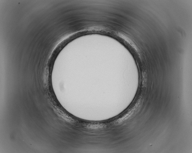 X0000111781021200908201105