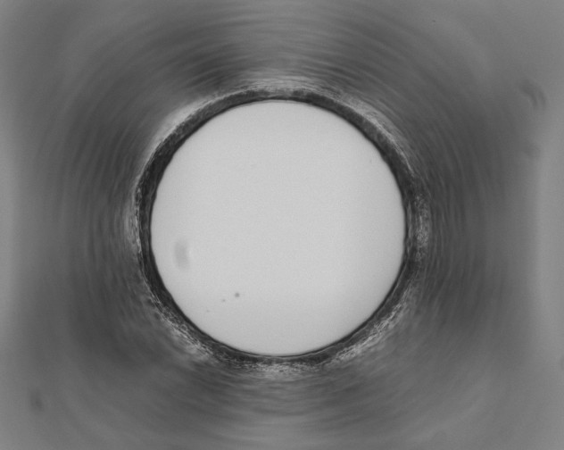 X0000111781022200908201105