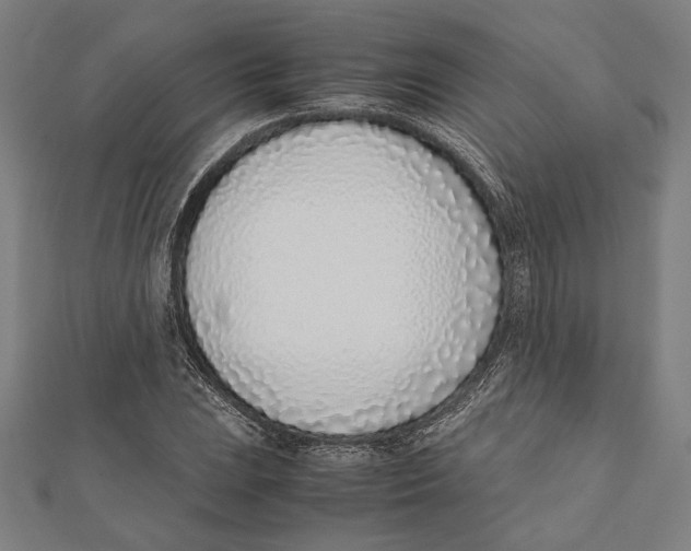 X0000111781023200908201105