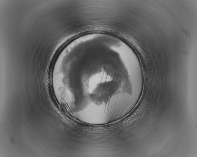 X0000111781024200908201105