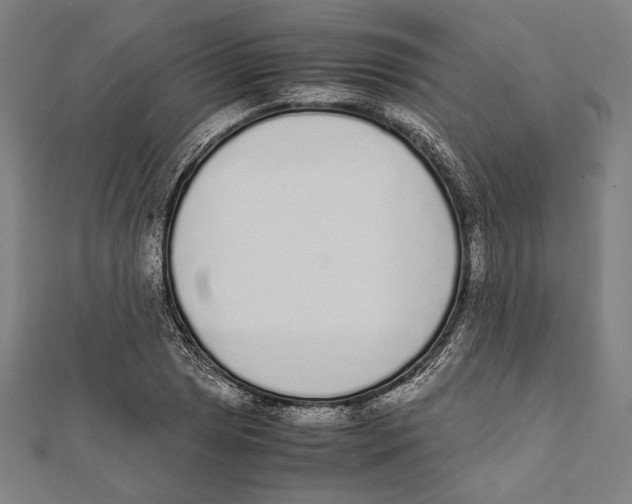 X0000111781025200908201105