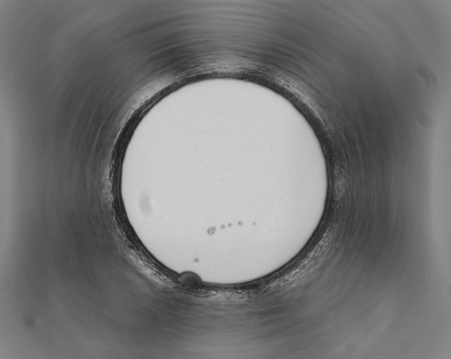 X0000111781026200908201105