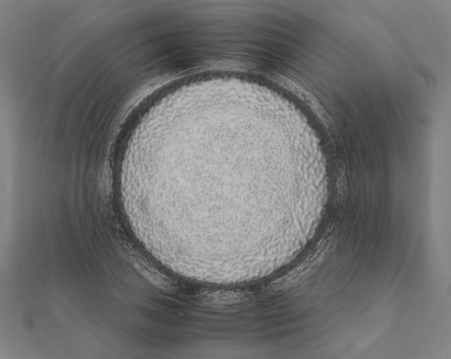 X0000111781027200908201105