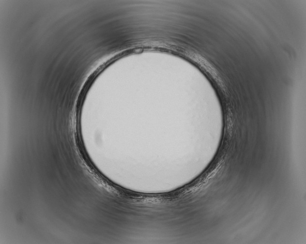 X0000111781028200908201105