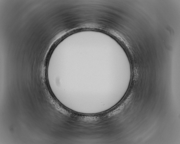 X0000111781029200908201105