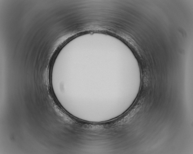 X0000111781030200908201105