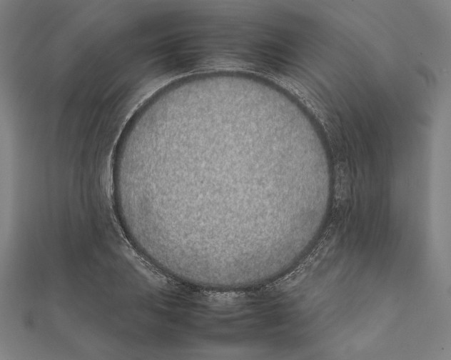 X0000111781031200908201105