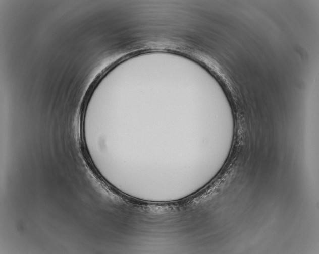 X0000111781032200908201105