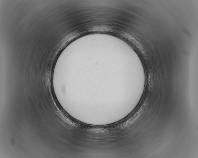 X0000111781033200908201105