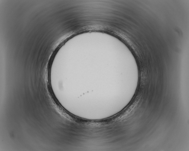 X0000111781034200908201106