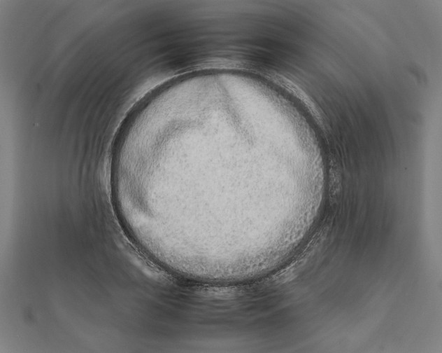 X0000111781035200908201106