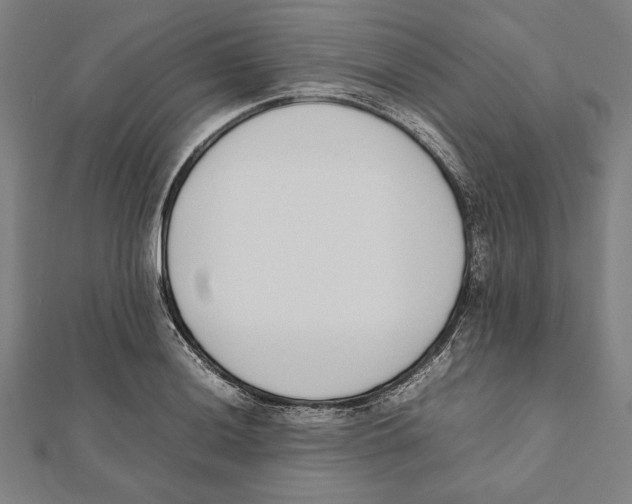 X0000111781036200908201106