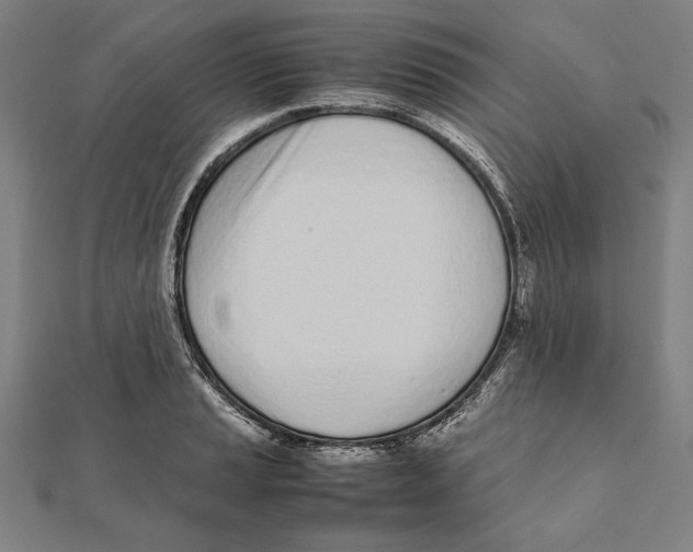 X0000111781037200908201106