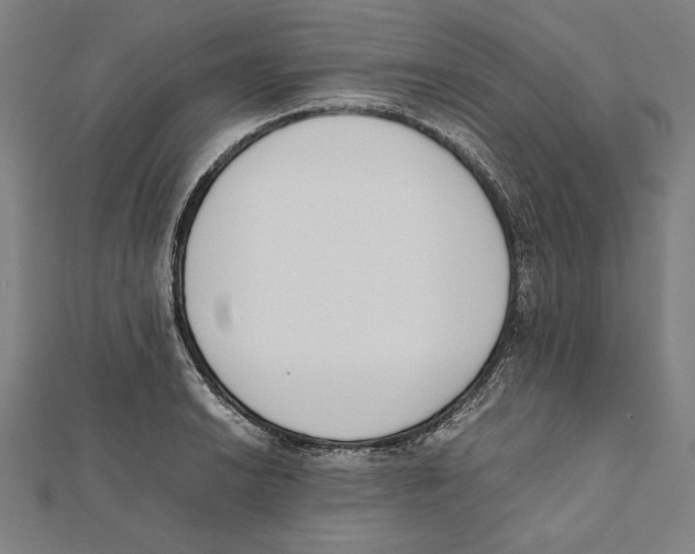 X0000111781038200908201106