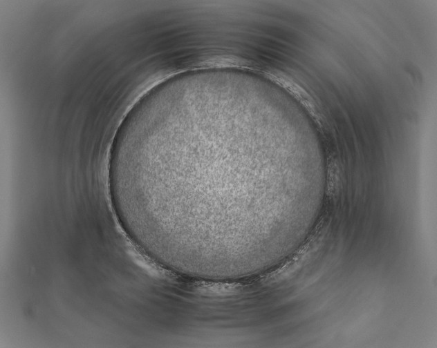 X0000111781039200908201106