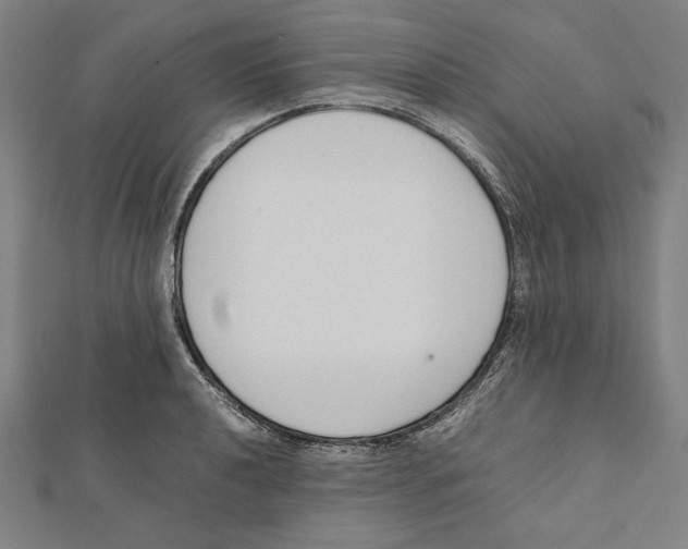 X0000111781040200908201106