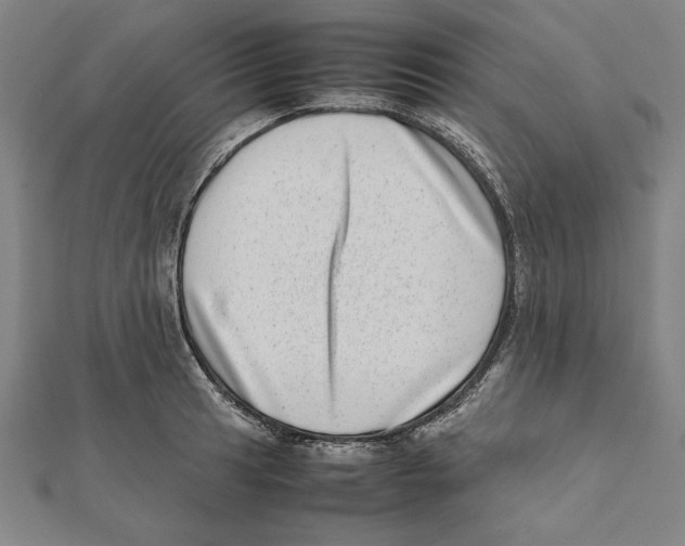 X0000111781041200908201106
