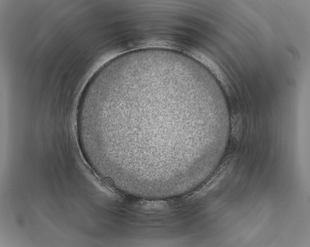 X0000111781043200908201106