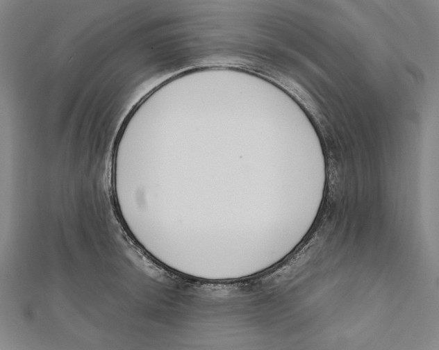 X0000111781044200908201106