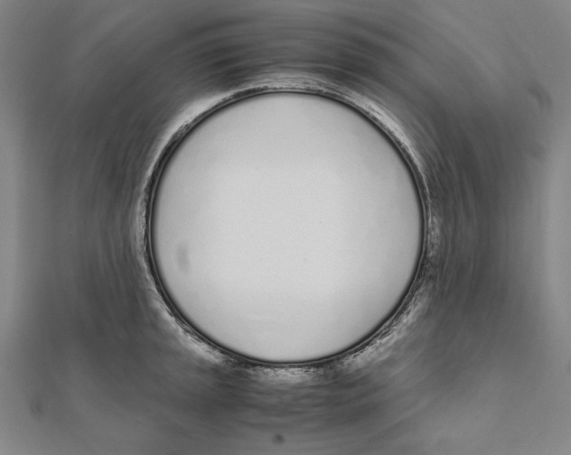 X0000111781045200908201106