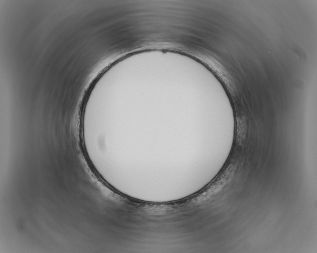X0000111781046200908201106