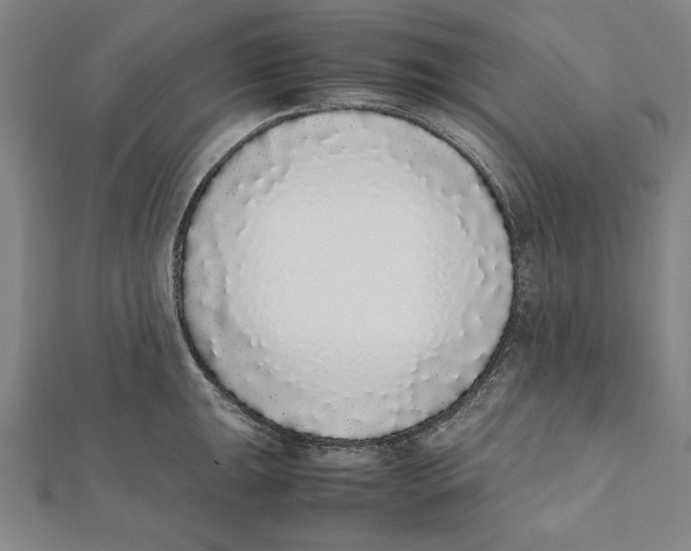 X0000111781047200908201106