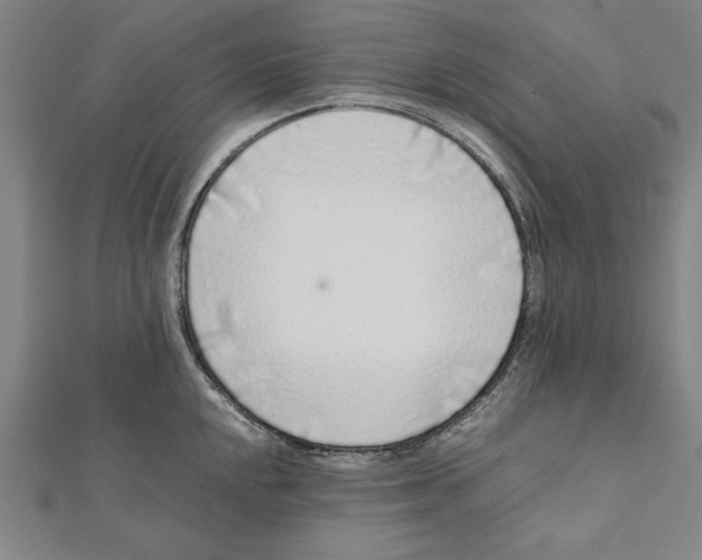 X0000111781048200908201106