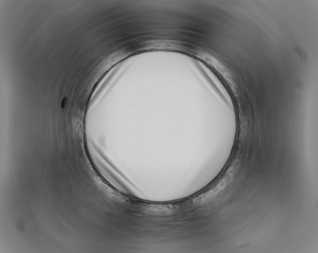 X0000111781049200908201106