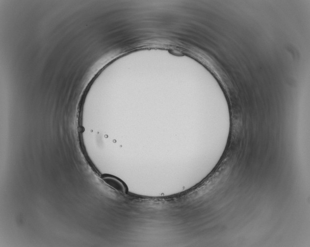 X0000111781050200908201106