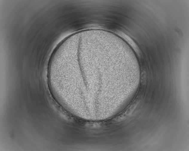 X0000111781051200908201106