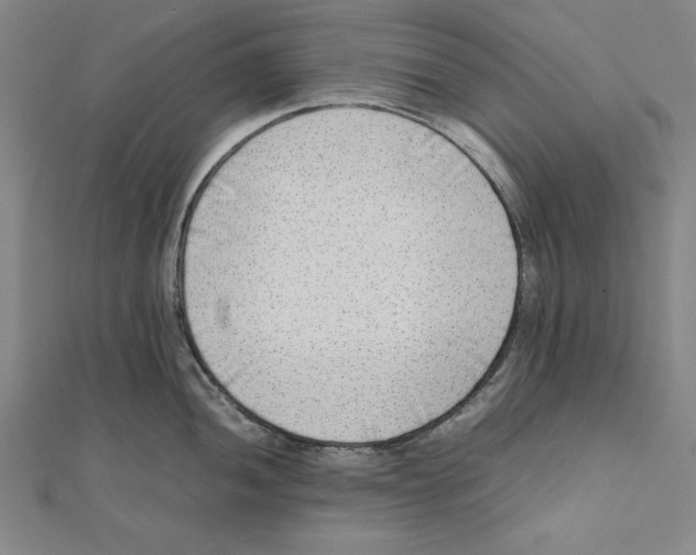X0000111781052200908201106