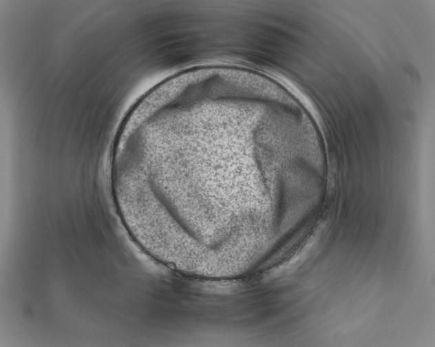 X0000111781053200908201106