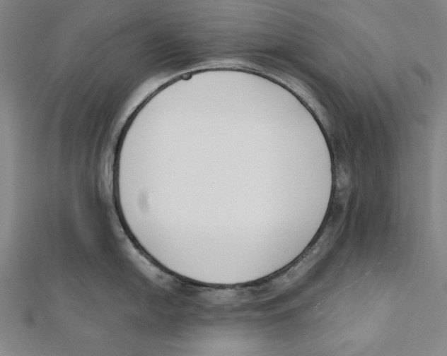 X0000111781054200908201106