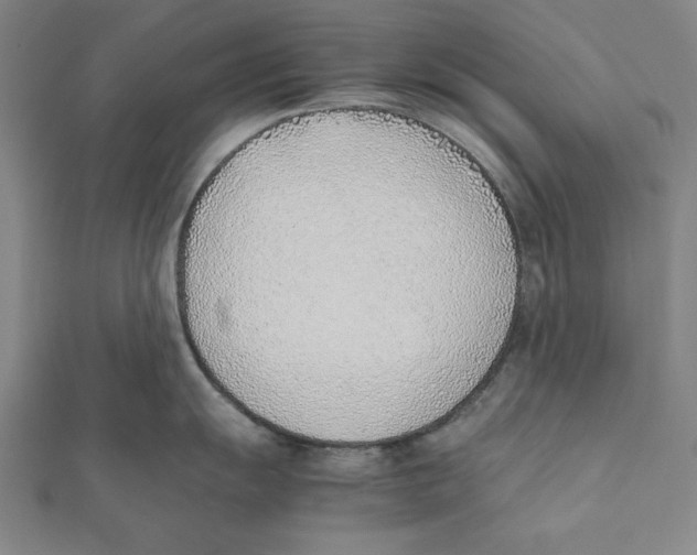 X0000111781055200908201106