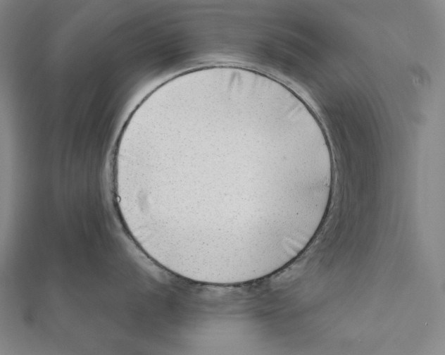 X0000111781056200908201106