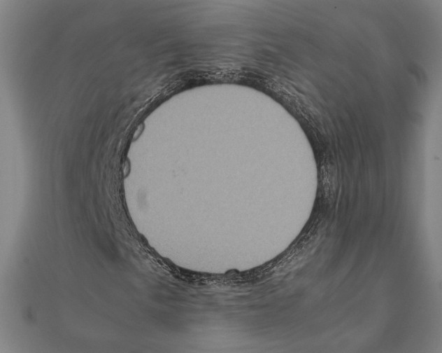 X0000111781057200908201105