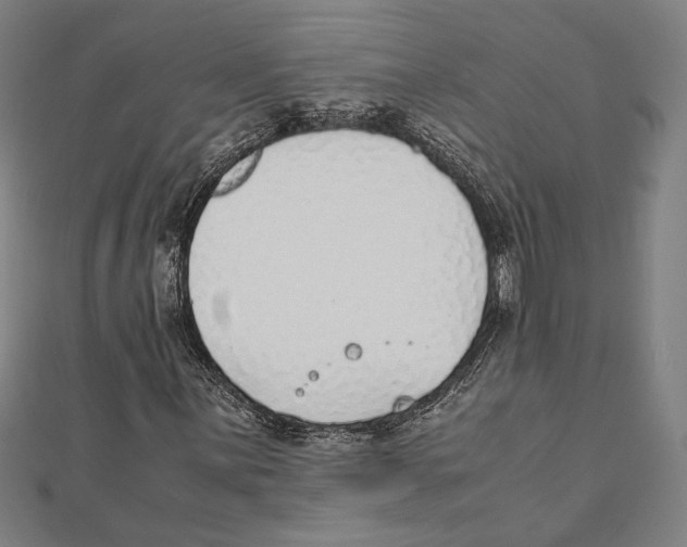 X0000111781059200908201105