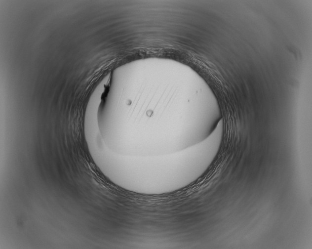 X0000111781060200908201105