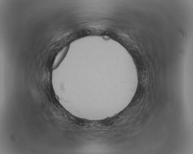 X0000111781061200908201105