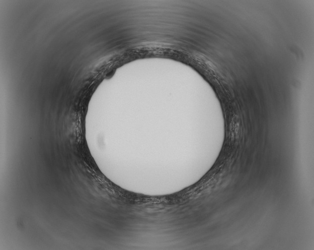 X0000111781062200908201105