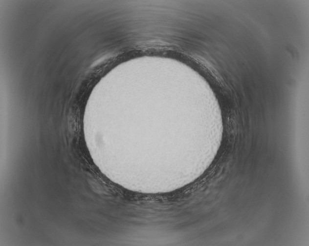 X0000111781063200908201105