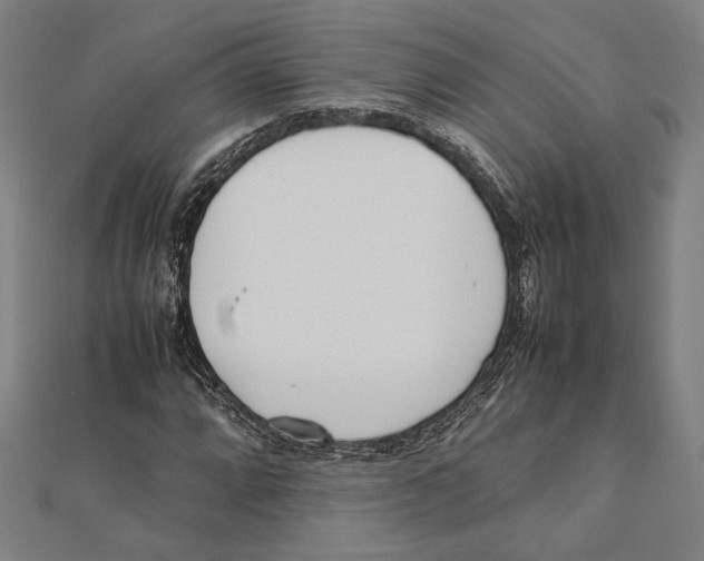X0000111781064200908201105